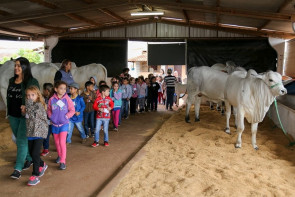 Projeto Fazendinha leva duas mil crianças à 55ª Expoagro