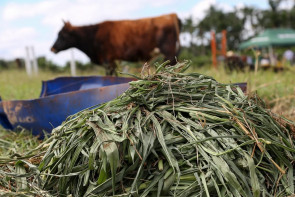 Oficinas do Projeto Fazendinha levam capacitação ao produtor durante 55ª Expoagro