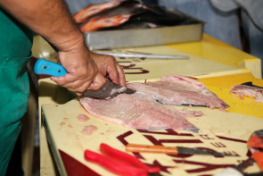 Dia de campo: oficinas de piscicultura atraem produtores de toda a região