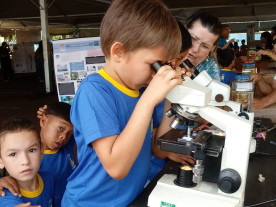 XIX Semana do Meio Ambiente e XXII Eco Dourados acontecem de 5 a 7 de junho na Câmara e na Praça