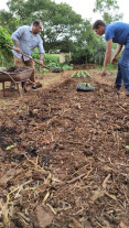 Prefeitura multiplica produção  agroecológica no Viveiro Municipal