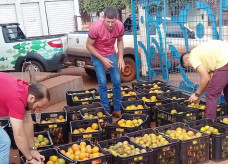 Distribuição de alimentos aos Cras e outras entidades sócio assistenciais é principal foco do programa