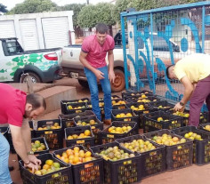 Banco de Alimentos fomenta a Agricultura Familiar e alimentação