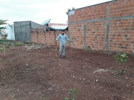 Prefeitura de Dourados inicia processo  de implantação de hortas fitoterápicas