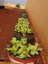 Imam inaugura projeto Horta com Pneus  no Ceim Professora Argemira Barbosa