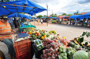 Tradição das feiras livres continua forte em seis regiões de Dourados