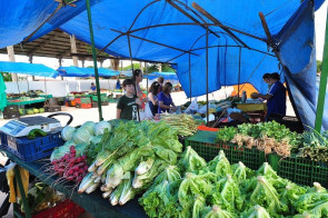 Tradição das feiras livres continua forte em seis regiões de Dourados