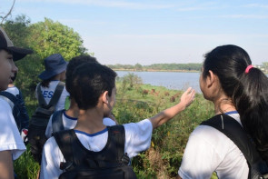 IMAM faz identificação de espécies no Parque Arnulpho Fioravanti com alunos do ensino fundamental