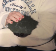 Mulher adota cão idoso e descobre que o cachorro a pertenceu na infância