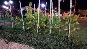 Praça Geraldo Mattos Lima recebe elogios de visitantes