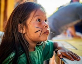 Paraty inaugura 1ª biblioteca indígena