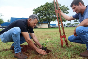 Prefeitura vai plantar 3 mil mudas de  Guavira nos parques públicos de Dourados