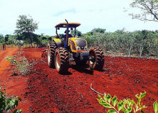 Mais de seis mil hectares de solo foram de pequenos produtores foram preparados com o apoio da Prefeitura de Dourados por intermédio da Secretaria de Agricultura Familiar