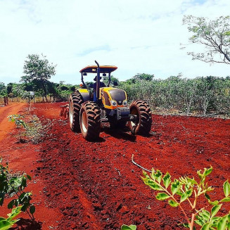 Mais de seis mil hectares de solo foram de pequenos produtores foram preparados com o apoio da Prefeitura de Dourados por intermédio da Secretaria de Agricultura Familiar