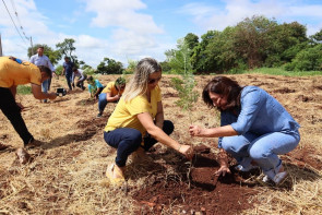 Plantio de 1700 árvores garante a preservação  de área de proteção ambiental em Dourados