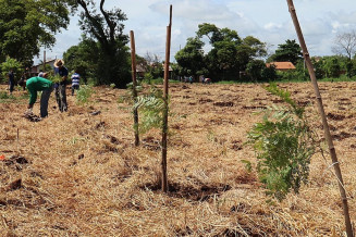 A prefeita Délia Razuk participa do início do plantio das 1700 árvores às margens do Córrego Rego D'água, nas proximidades da Feira Central