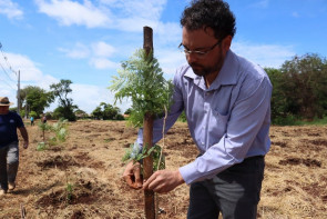 Plantio de 1700 árvores garante a preservação  de área de proteção ambiental em Dourados