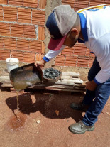 CCZ vai intensificar ações de combate ao Aedes aegypti