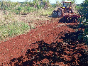 Tratores e equipamentos da Prefeitura estão preparando o solo para o plantio no Distrito Verde que também está recebendo orientação técnica agronômica