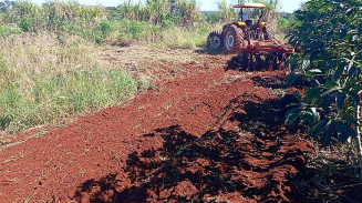 Tratores e equipamentos da Prefeitura estão preparando o solo para o plantio no Distrito Verde que também está recebendo orientação técnica agronômica