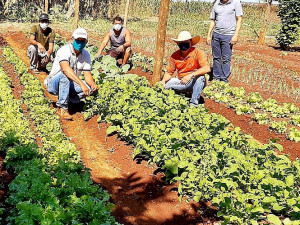 Produção de hortaliças tem acompanhamento técnico nas escolas da zona rural de Dourados
