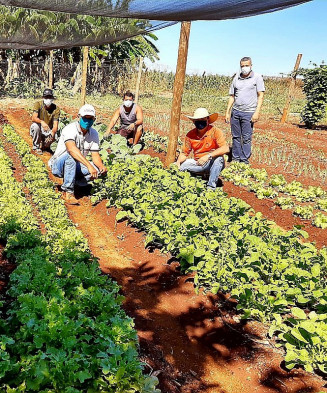 Produção de hortaliças tem acompanhamento técnico nas escolas da zona rural de Dourados