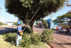 Prefeitura de Dourados adquire novos equipamentos para a poda de árvores