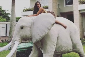 Anitta faz festa  'selvagem' em casa para comemorar os 24 anos