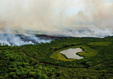 Incêndio no Pantanal