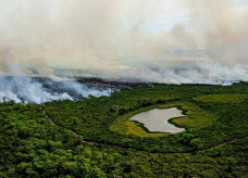 Incêndio no Pantanal