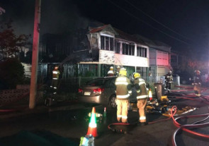 Um homem sobreviveu a um incêndio graças ao seu papagaio de estimação