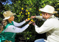 Terão prioridade no preenchimento das vagas produtores rurais e seus familiares, ou ainda, colaboradores de propriedades rurais. Foto: Divulgação