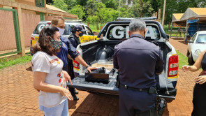 Delia entrega uniforme à Guarda Municipal e viaturas à GM Ambiental