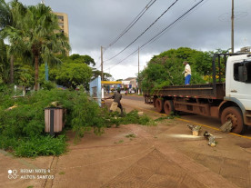 Prefeitura faz poda de emergência e limpeza na área central