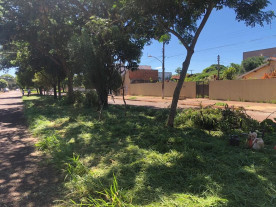 Rotary organiza limpeza e roçada para ajudar Dourados