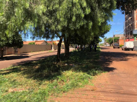 Rotary organiza limpeza e roçada para ajudar Dourados