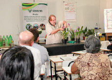 produção de flores