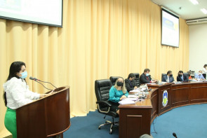 Diretora do CRF-MS alerta na Câmara  para o uso irracional de medicamentos