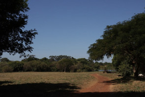 Prefeitura retira mais de 3 toneladas de lixos dos parques de Dourados