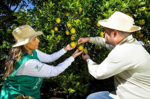 Cursos técnicos gratuitos em Agronegócio e Fruticultura estão com inscrições abertas