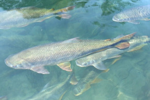 De Boa em Bonito; Revista DaGente acompanhou ganhadores à Bonito-MS