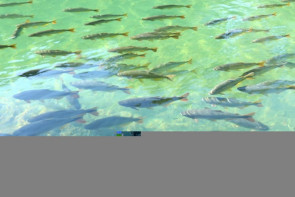 De Boa em Bonito; Revista DaGente acompanhou ganhadores à Bonito-MS