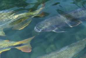 De Boa em Bonito; Revista DaGente acompanhou ganhadores à Bonito-MS