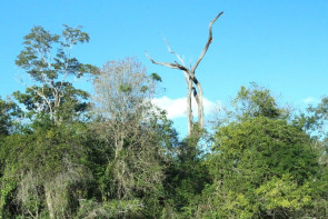 De Boa em Bonito; Revista DaGente acompanhou ganhadores à Bonito-MS