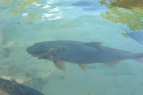 De Boa em Bonito; Revista DaGente acompanhou ganhadores à Bonito-MS