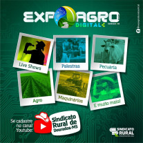 Sindicato Rural realiza Expoagro Digital de 14 a 17 de setembro em Dourados
