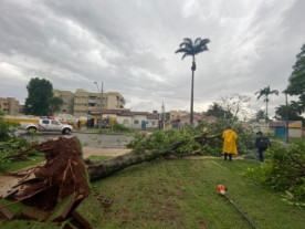 Defesa Civil atende ocorrências provocadas pela chuva em Dourados