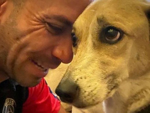 Dono Reinaldo Júnior encontra Pandora, cachorra perdida após fugir de caixa de transporte no Aeroporto de Guarulhos Reprodução/Instagram