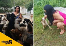 Protetora salva animais de eutanásia e precisa de apoio - Fotos: Arquivo Pessoal