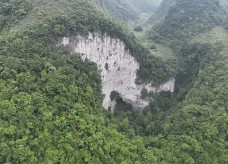 A floresta antiga foi encontrada em um buraco de 306 metros - Foto: reprodução/The Guardian